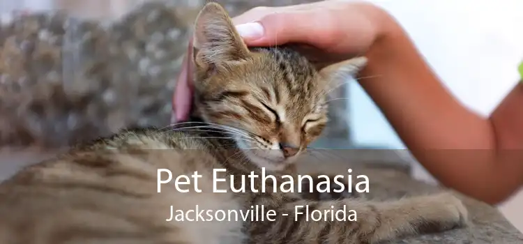 Pet Euthanasia Jacksonville - Florida