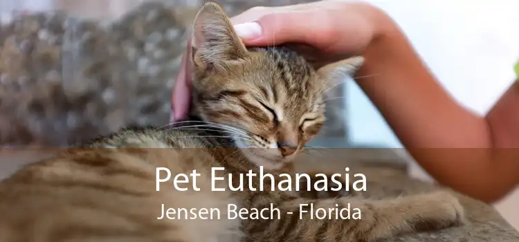 Pet Euthanasia Jensen Beach - Florida
