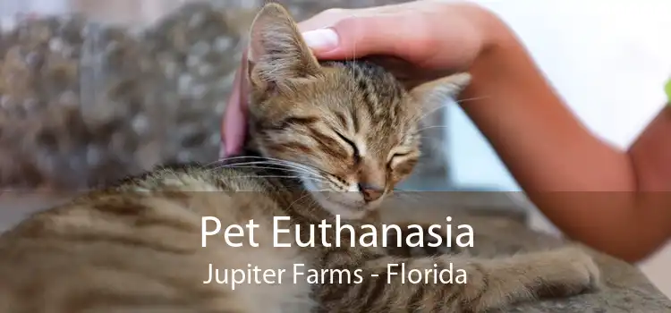 Pet Euthanasia Jupiter Farms - Florida