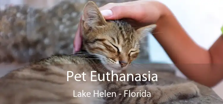Pet Euthanasia Lake Helen - Florida