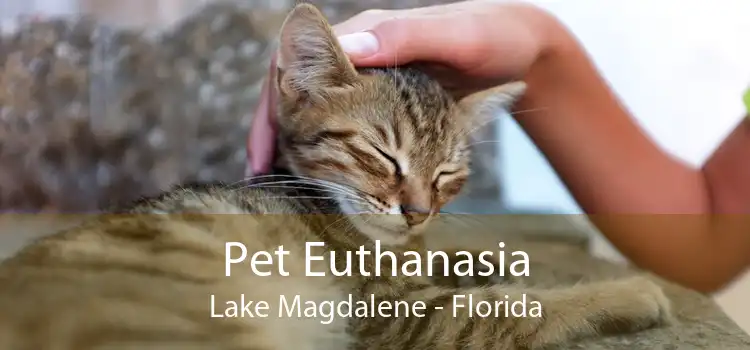 Pet Euthanasia Lake Magdalene - Florida