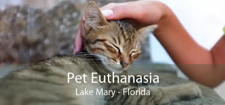 Pet Euthanasia Lake Mary - Florida