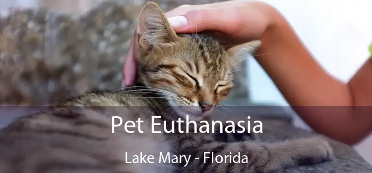Pet Euthanasia Lake Mary - Florida