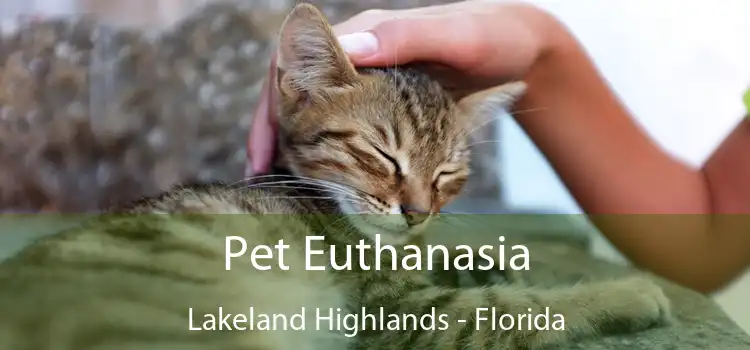 Pet Euthanasia Lakeland Highlands - Florida