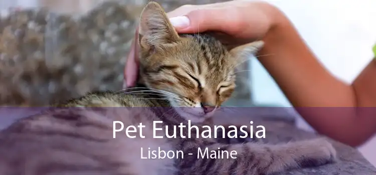 Pet Euthanasia Lisbon - Maine