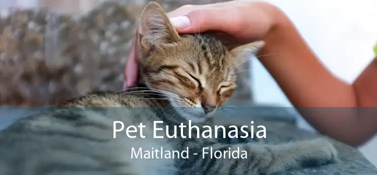 Pet Euthanasia Maitland - Florida