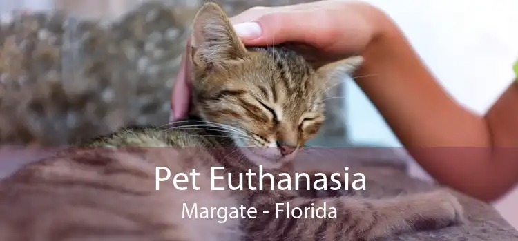 Pet Euthanasia Margate - Florida