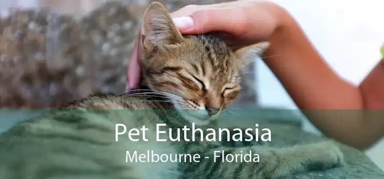 Pet Euthanasia Melbourne - Florida