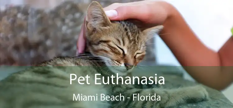 Pet Euthanasia Miami Beach - Florida