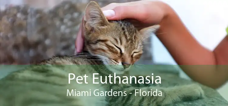 Pet Euthanasia Miami Gardens - Florida