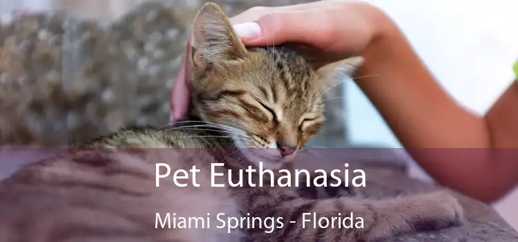 Pet Euthanasia Miami Springs - Florida