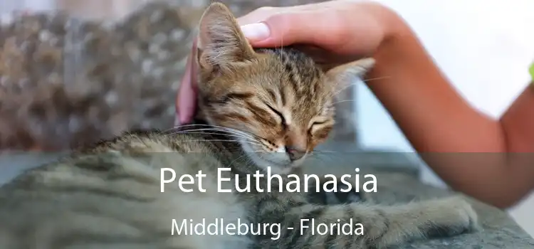Pet Euthanasia Middleburg - Florida