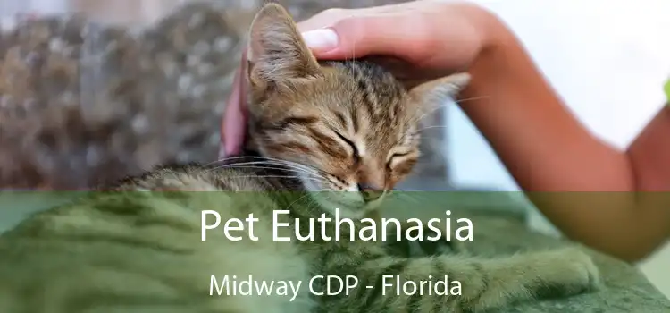Pet Euthanasia Midway CDP - Florida