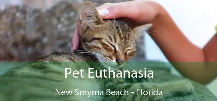 Pet Euthanasia New Smyrna Beach - Florida