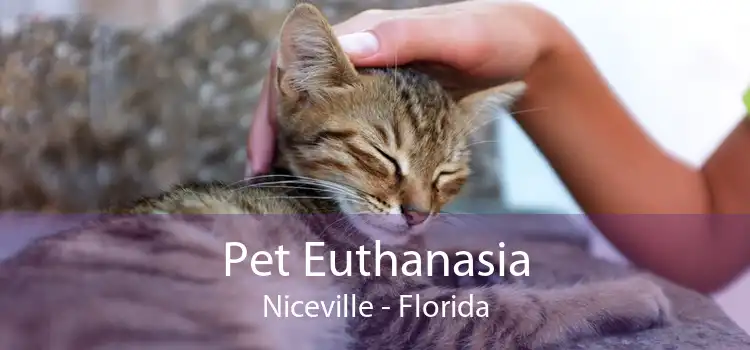 Pet Euthanasia Niceville - Florida
