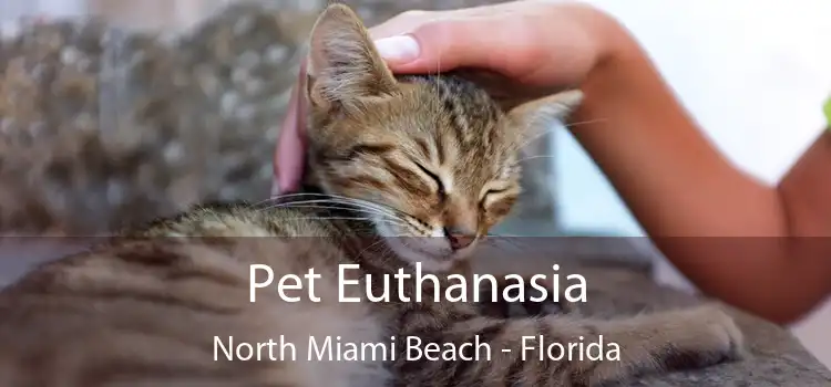 Pet Euthanasia North Miami Beach - Florida