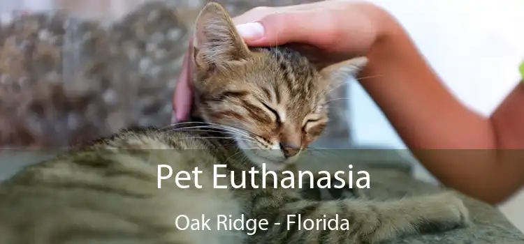 Pet Euthanasia Oak Ridge - Florida
