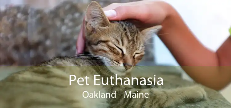 Pet Euthanasia Oakland - Maine