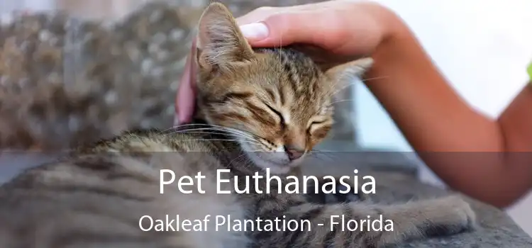 Pet Euthanasia Oakleaf Plantation - Florida