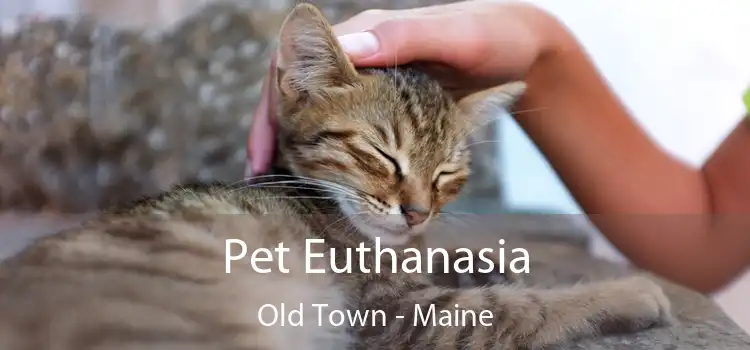 Pet Euthanasia Old Town - Maine