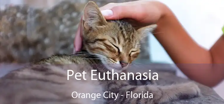 Pet Euthanasia Orange City - Florida