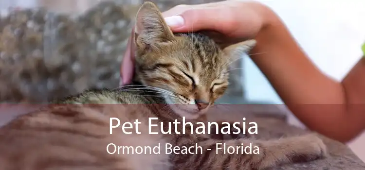 Pet Euthanasia Ormond Beach - Florida