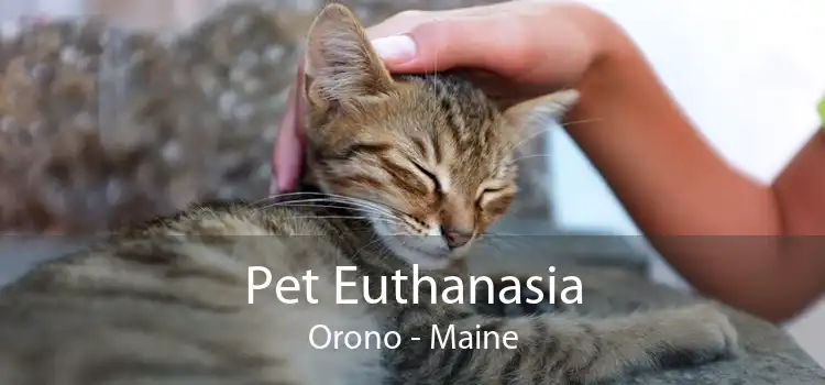 Pet Euthanasia Orono - Maine
