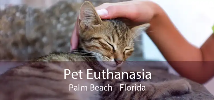 Pet Euthanasia Palm Beach - Florida