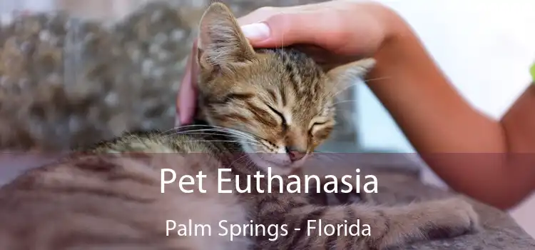 Pet Euthanasia Palm Springs - Florida