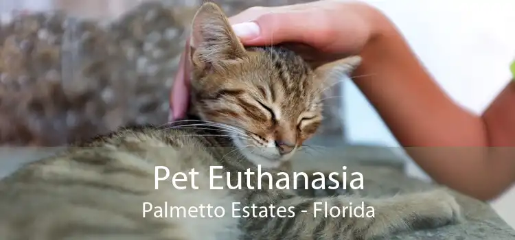 Pet Euthanasia Palmetto Estates - Florida
