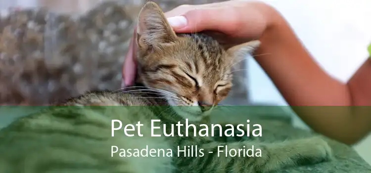 Pet Euthanasia Pasadena Hills - Florida