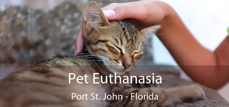 Pet Euthanasia Port St. John - Florida