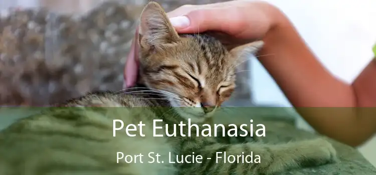 Pet Euthanasia Port St. Lucie - Florida