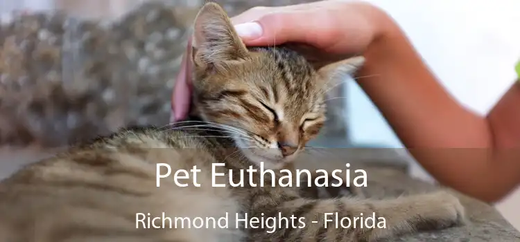 Pet Euthanasia Richmond Heights - Florida