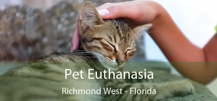 Pet Euthanasia Richmond West - Florida