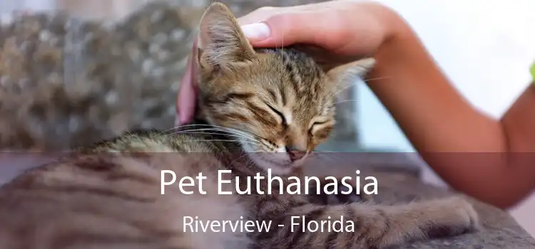 Pet Euthanasia Riverview - Florida