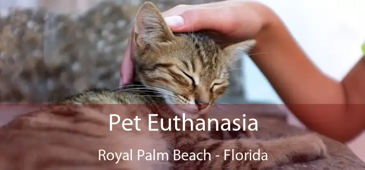 Pet Euthanasia Royal Palm Beach - Florida