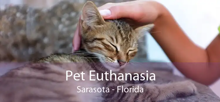 Pet Euthanasia Sarasota - Florida