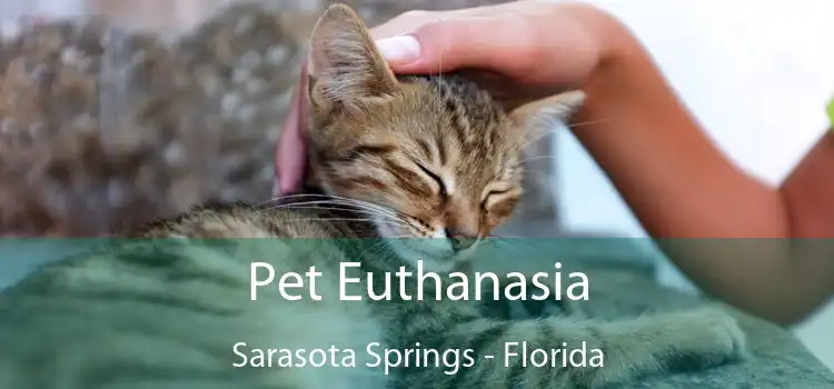 Pet Euthanasia Sarasota Springs - Florida