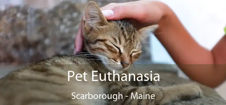 Pet Euthanasia Scarborough - Maine