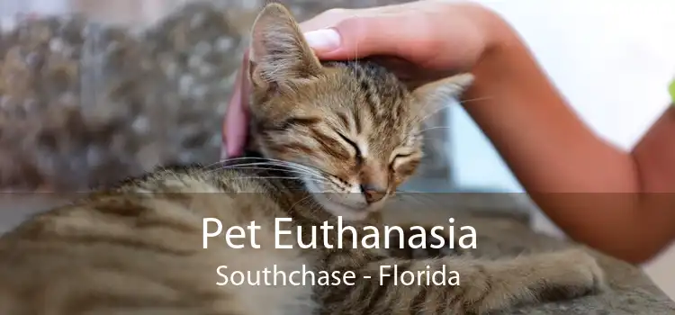 Pet Euthanasia Southchase - Florida