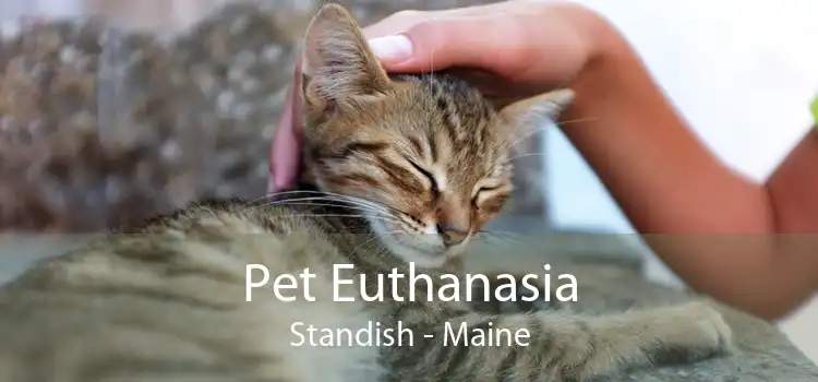 Pet Euthanasia Standish - Maine