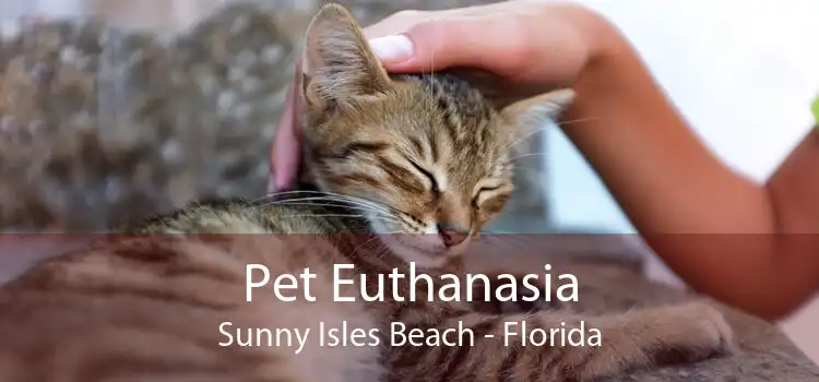 Pet Euthanasia Sunny Isles Beach - Florida