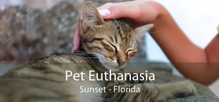 Pet Euthanasia Sunset - Florida