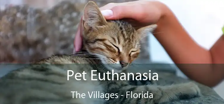Pet Euthanasia The Villages - Florida