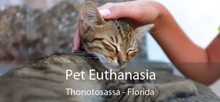 Pet Euthanasia Thonotosassa - Florida