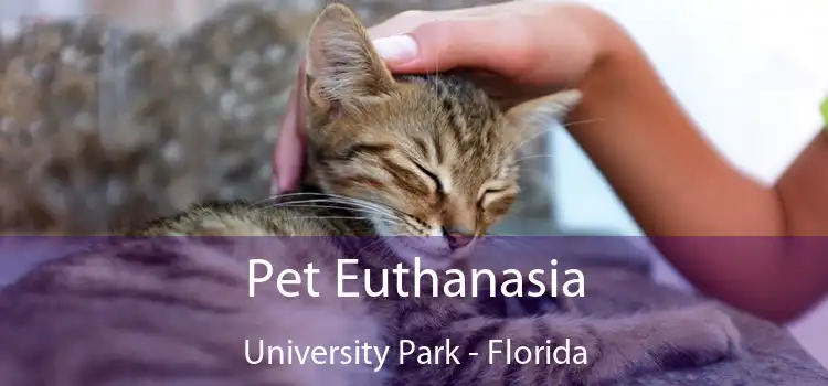Pet Euthanasia University Park - Florida