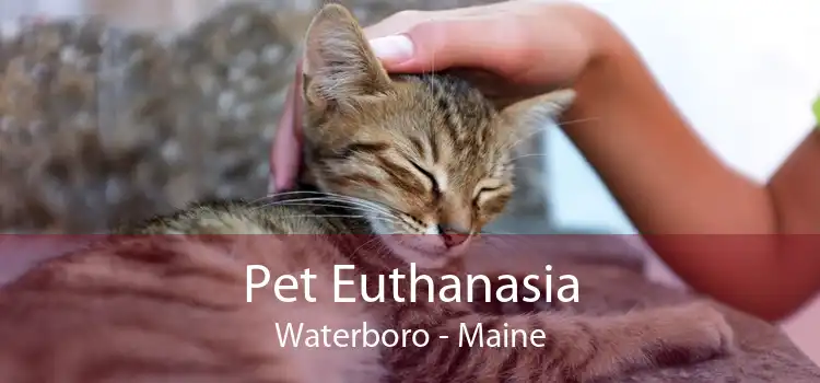 Pet Euthanasia Waterboro - Maine