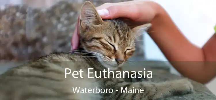 Pet Euthanasia Waterboro - Maine