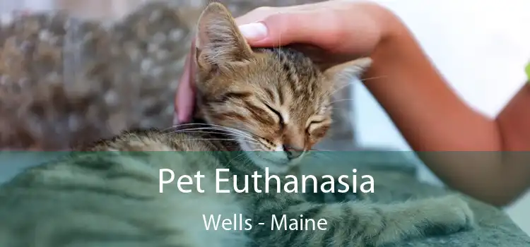 Pet Euthanasia Wells - Maine
